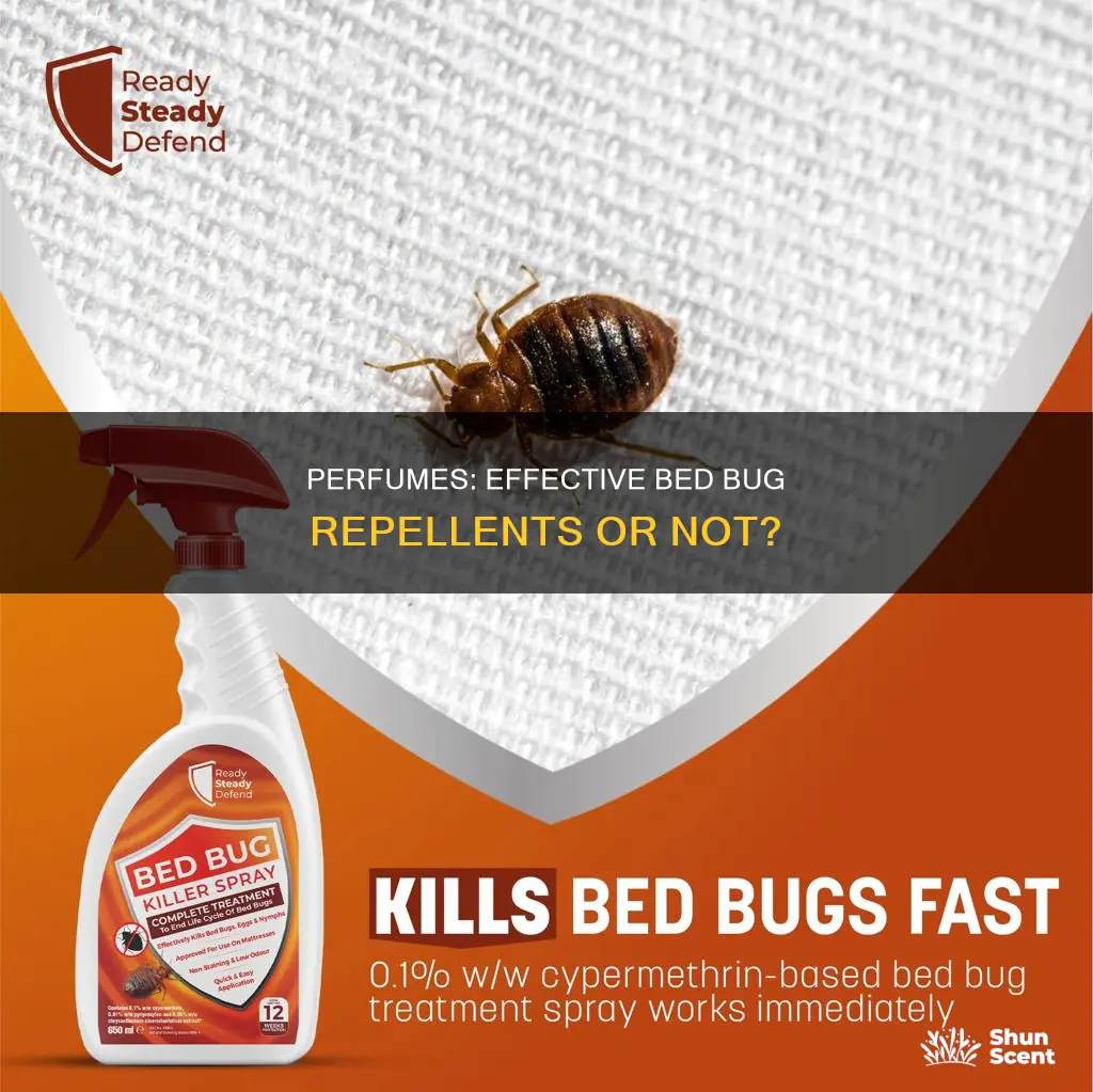 does perfume keep bed bugs away