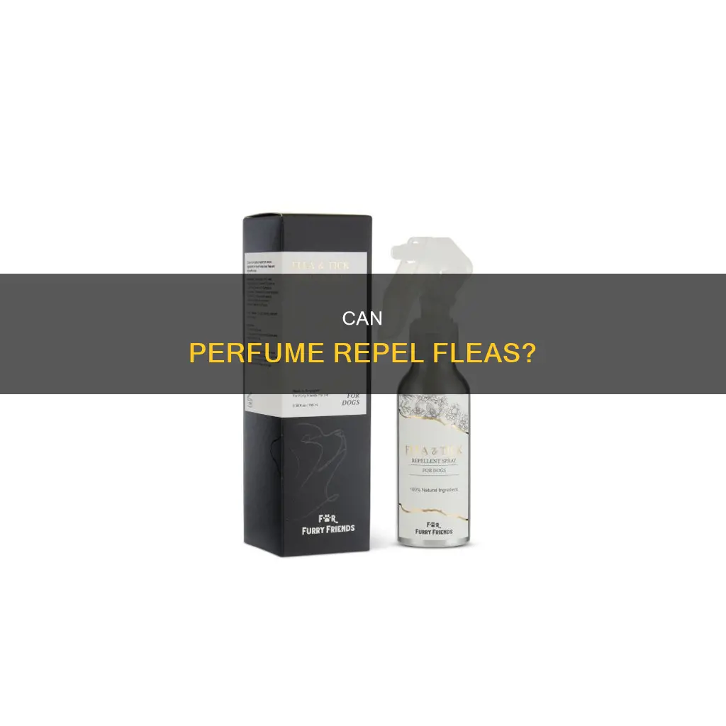 does perfume keep fleas away
