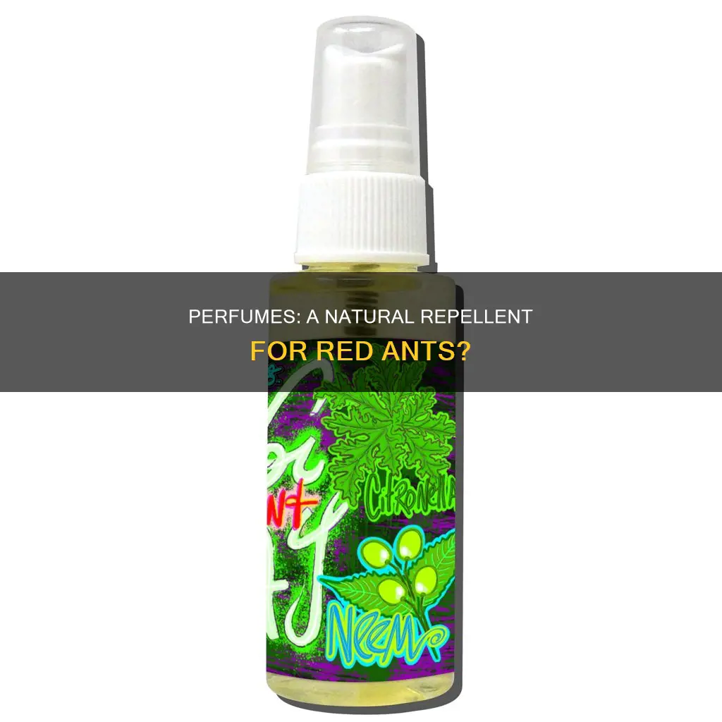 does perfume keep red ants awsy