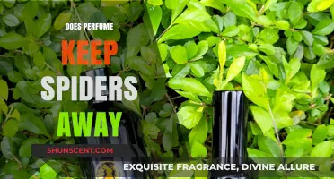 Spiders and Scents: Do Perfumes Work?