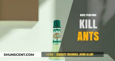 Can Perfume Be an Ant Repellent?