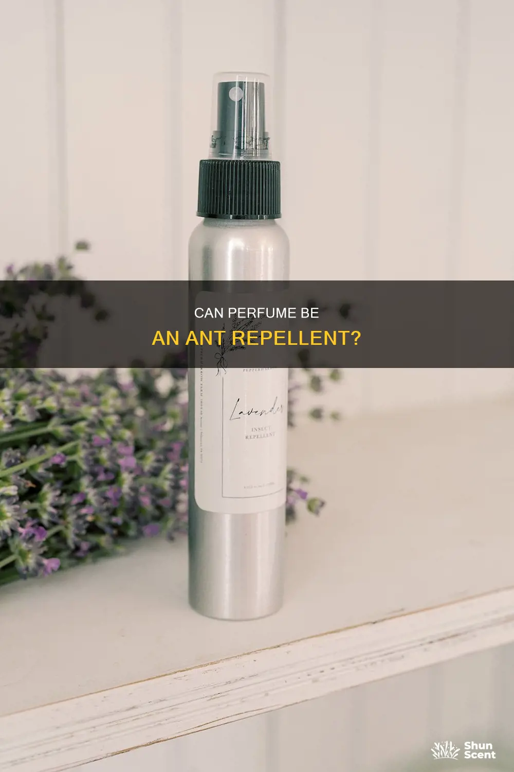 does perfume kill ants