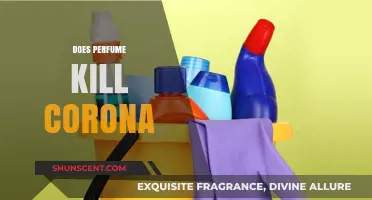 Perfumes and COVID-19: Can Fragrances Kill the Virus?