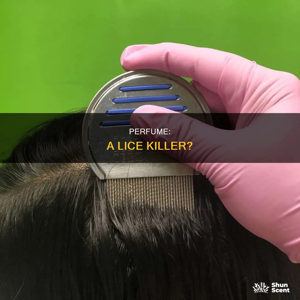does perfume kill lice