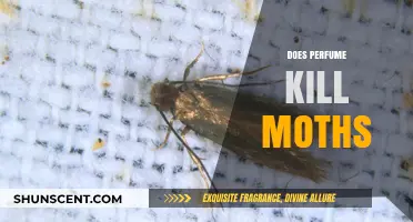 Can Perfume Repel and Kill Moths?