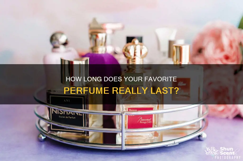 does perfume last all day