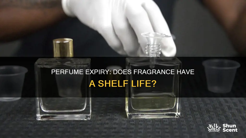 does perfume last forever