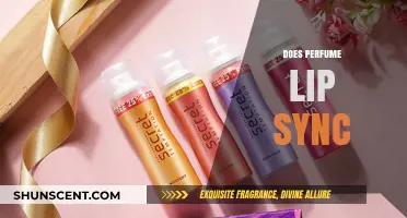 Lip-Syncing: Perfume's Unique Performance Style