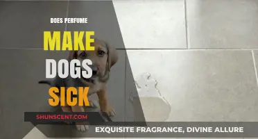 Perfume and Dogs: A Toxic Mix?