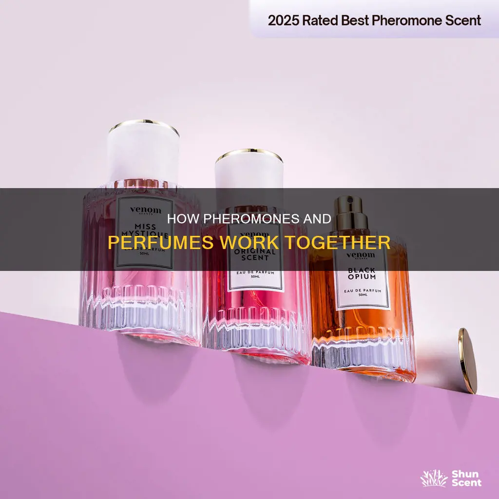 does perfume mix with pheromones