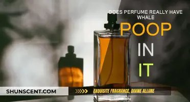 The Stinky Truth: Whale Poop in Perfume?