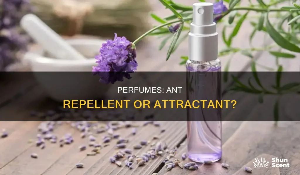 does perfume repel ants