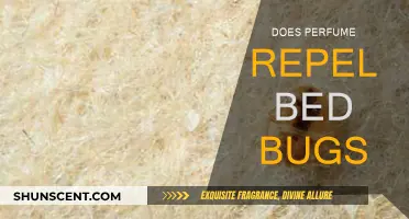 Can Perfume Repel Bed Bugs?