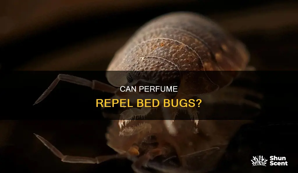 does perfume repel bed bugs