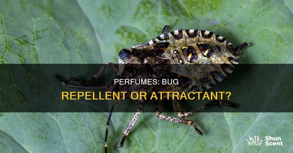 does perfume repel bugs