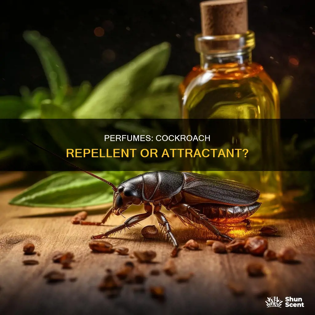 does perfume repel cockroaches