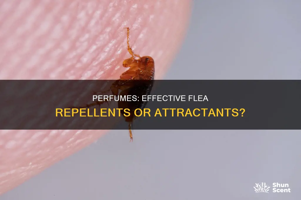 does perfume repel fleas