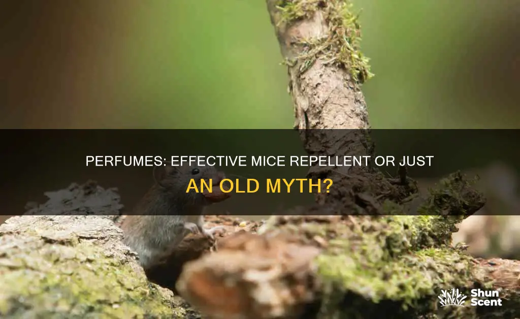 does perfume repel mice