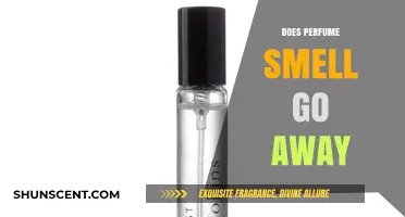 How Long Does Perfume Scent Last?