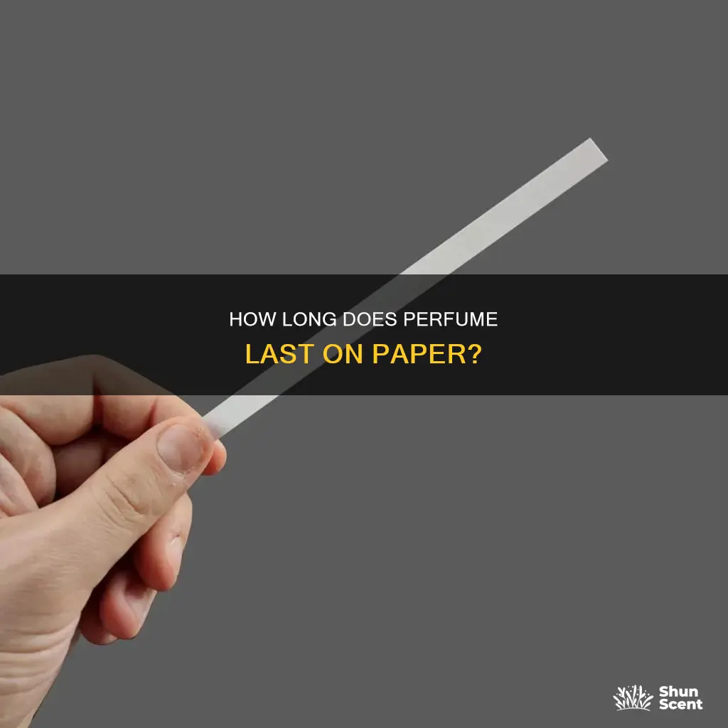 does perfume stay on paper