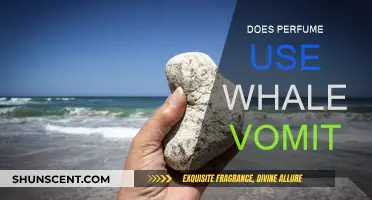 The Truth About Whale Vomit in Perfumes
