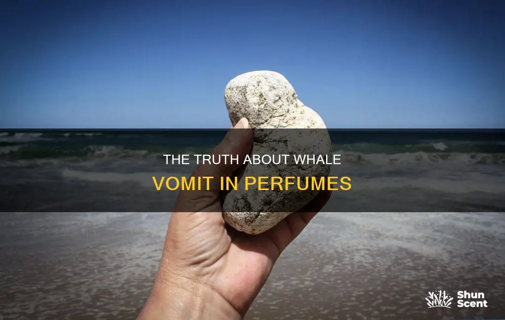 does perfume use whale vomit
