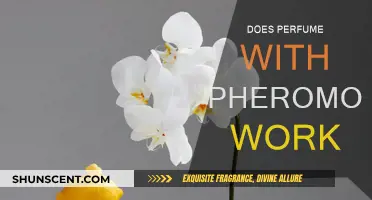 Pheromone Perfumes: Do They Work?