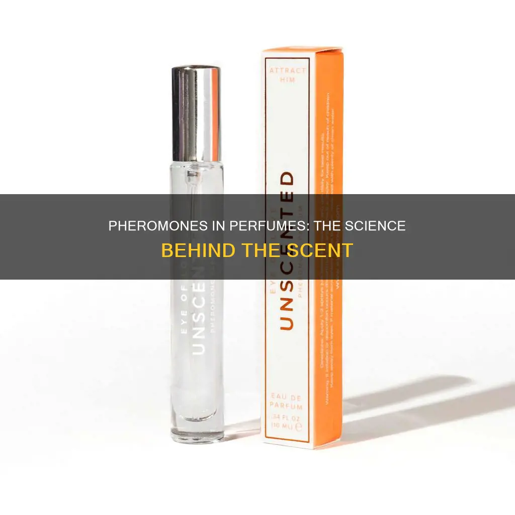 does perfumes contain pheromones