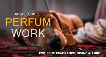 Do Pheromone Perfumes Actually Work?