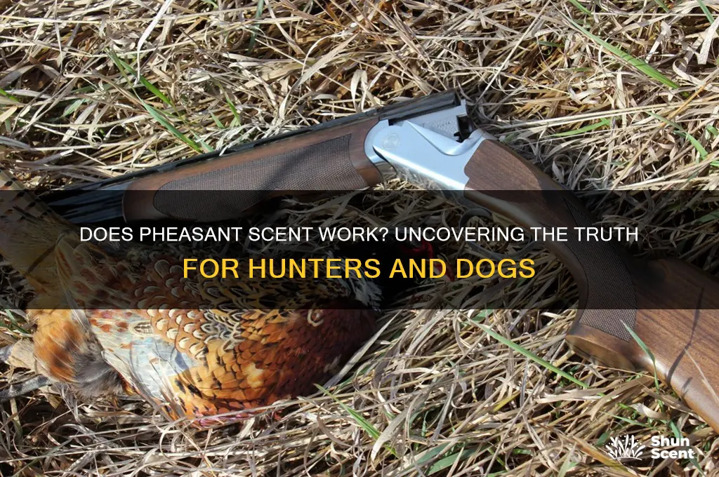 does pheasant scent work