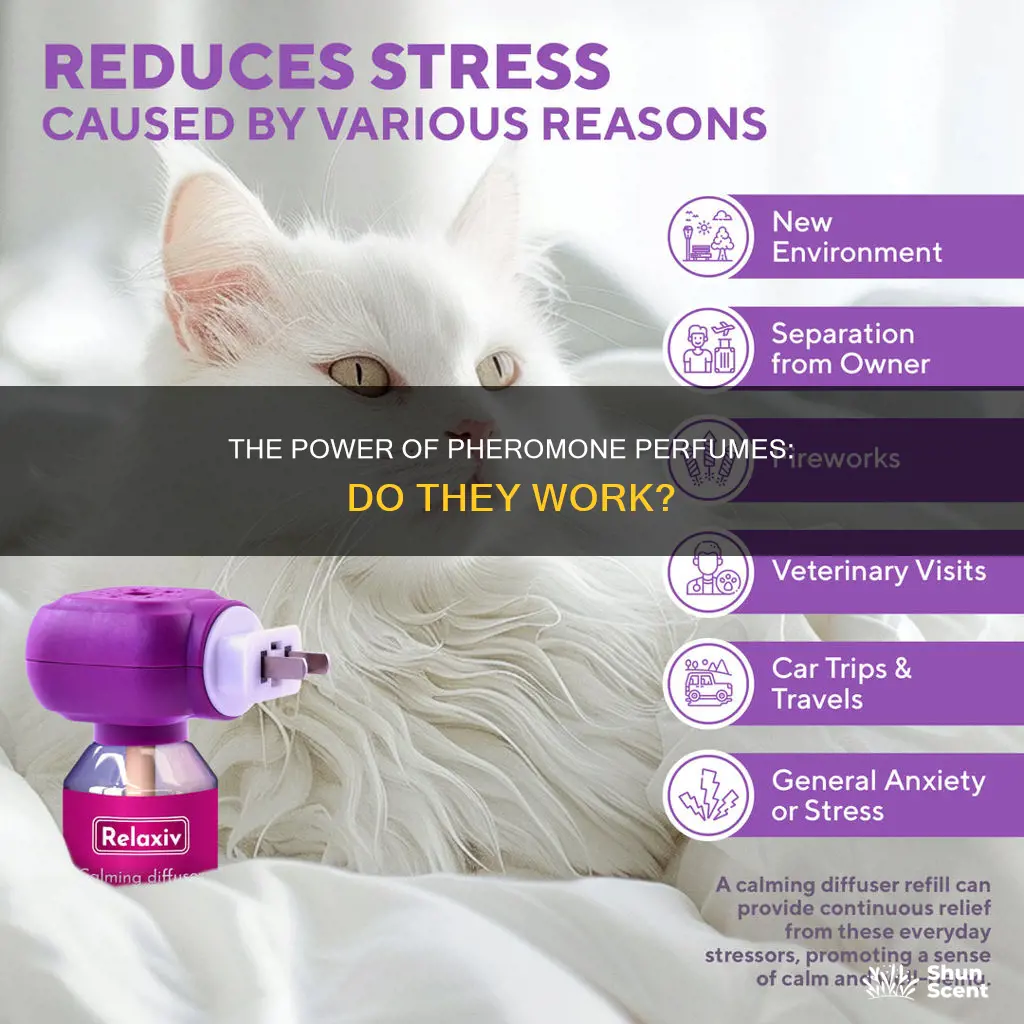 does phermone perfume work