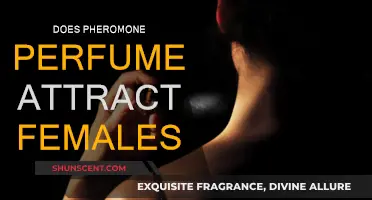 Pheromone Perfume: Can It Attract Women?