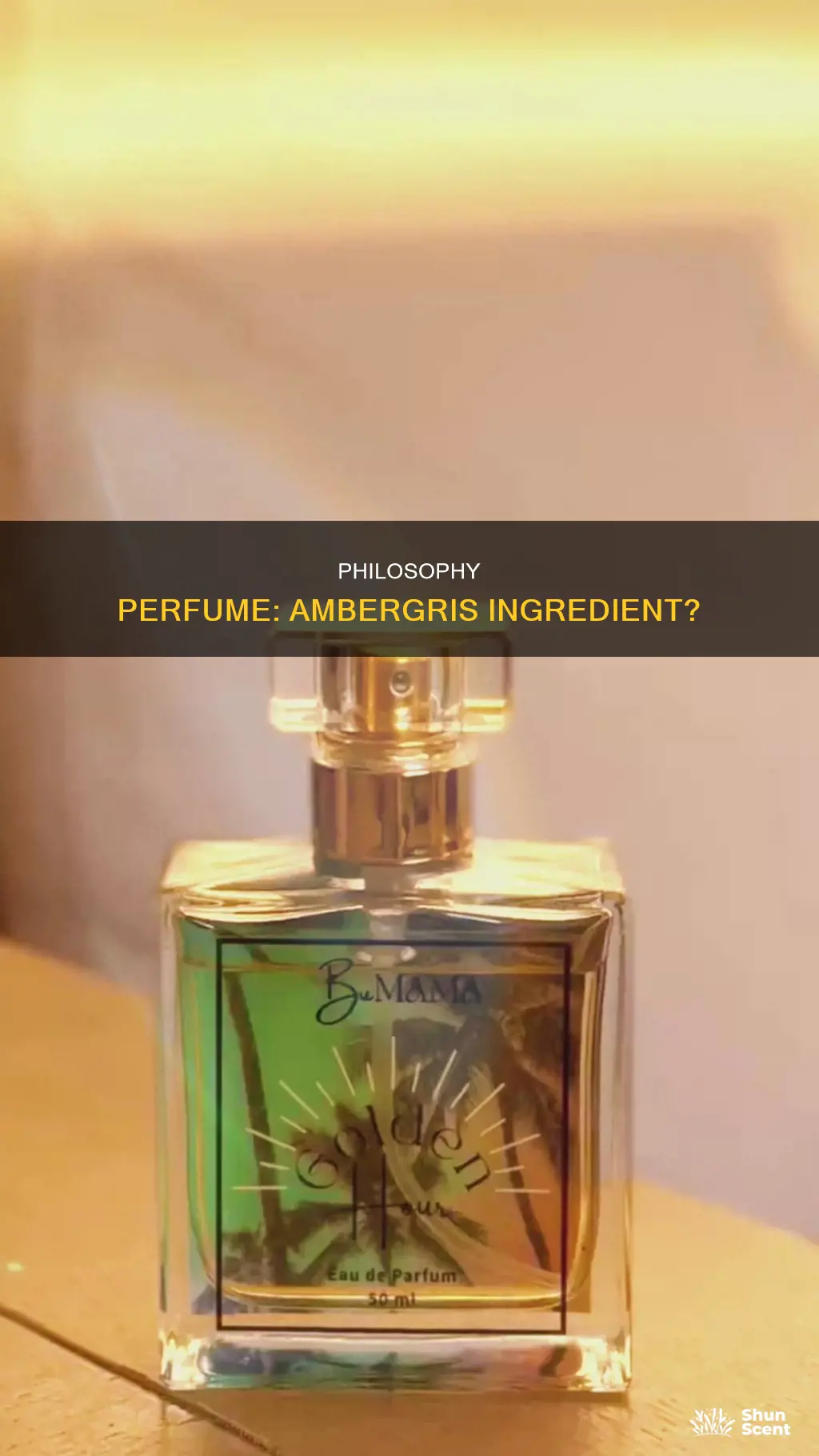 does philosophy perfume contain ambergris