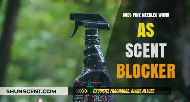 Pine Needles as Scent Blockers: Effective Hunting or Outdoor Myth?