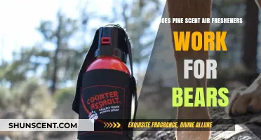 Pine Scent Air Fresheners: Effective Bear Deterrent or Myth?
