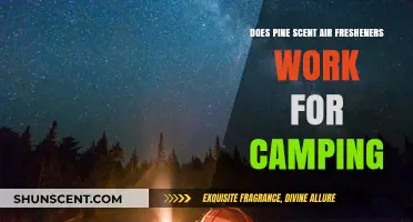 Pine Scent Air Fresheners: Effective Camping Odor Solutions or Myth?
