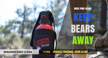 Pine Scent as a Bear Deterrent: Fact or Fiction?