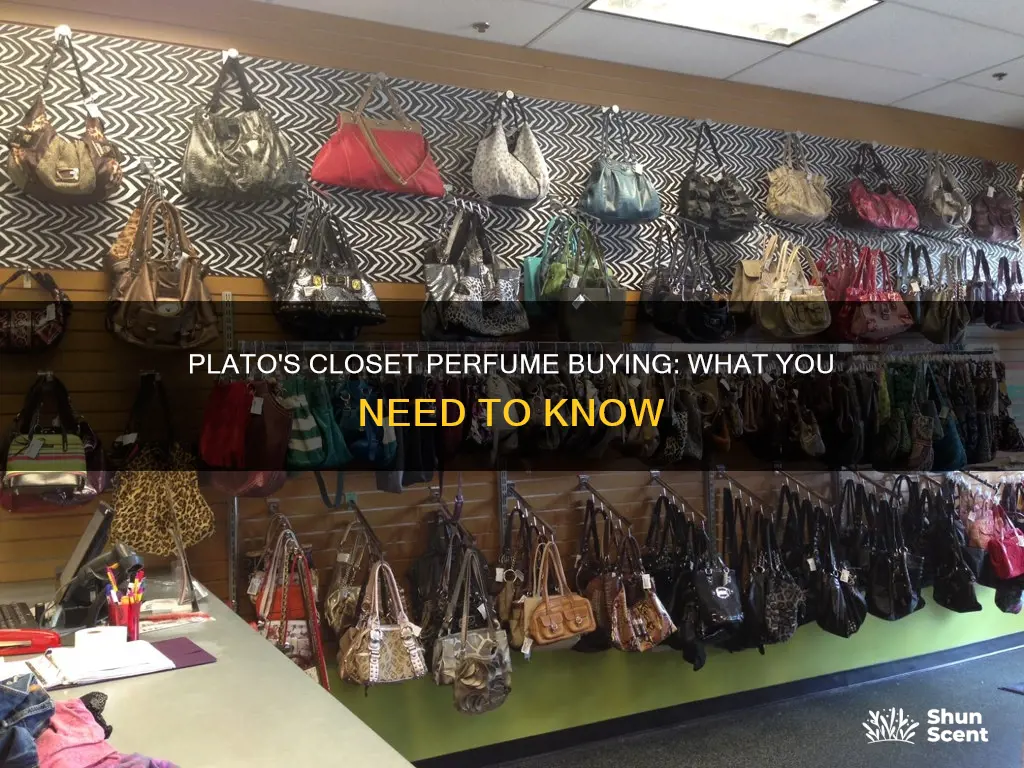 does plato