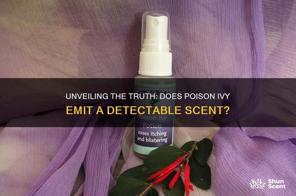 does poison ivy have a scent