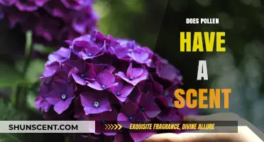Does Pollen Have a Scent? Unveiling the Aromatic Mystery of Flowers