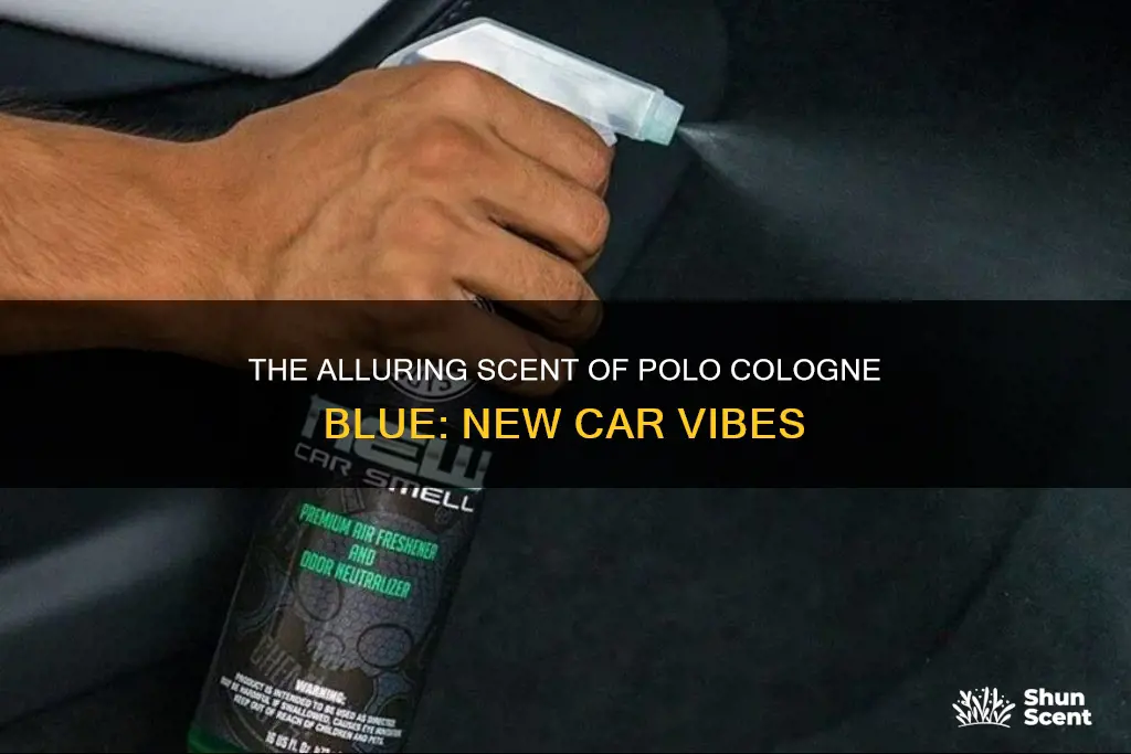 does polo cologne blue smell like new car