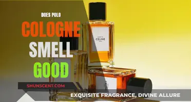 Polo Cologne: Does it Smell as Good as They Say?