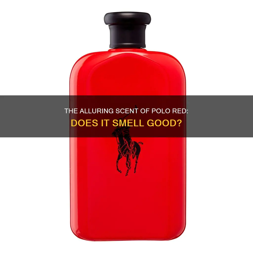 does polo red cologne smell goo