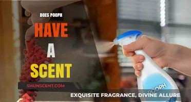 Does Pooph Eliminate Odors or Mask Them? Uncovering the Scent Truth