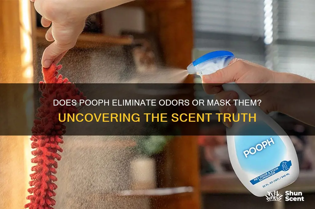 does pooph have a scent
