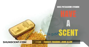 Does Potassium Cyanide Have a Scent? Uncovering the Truth