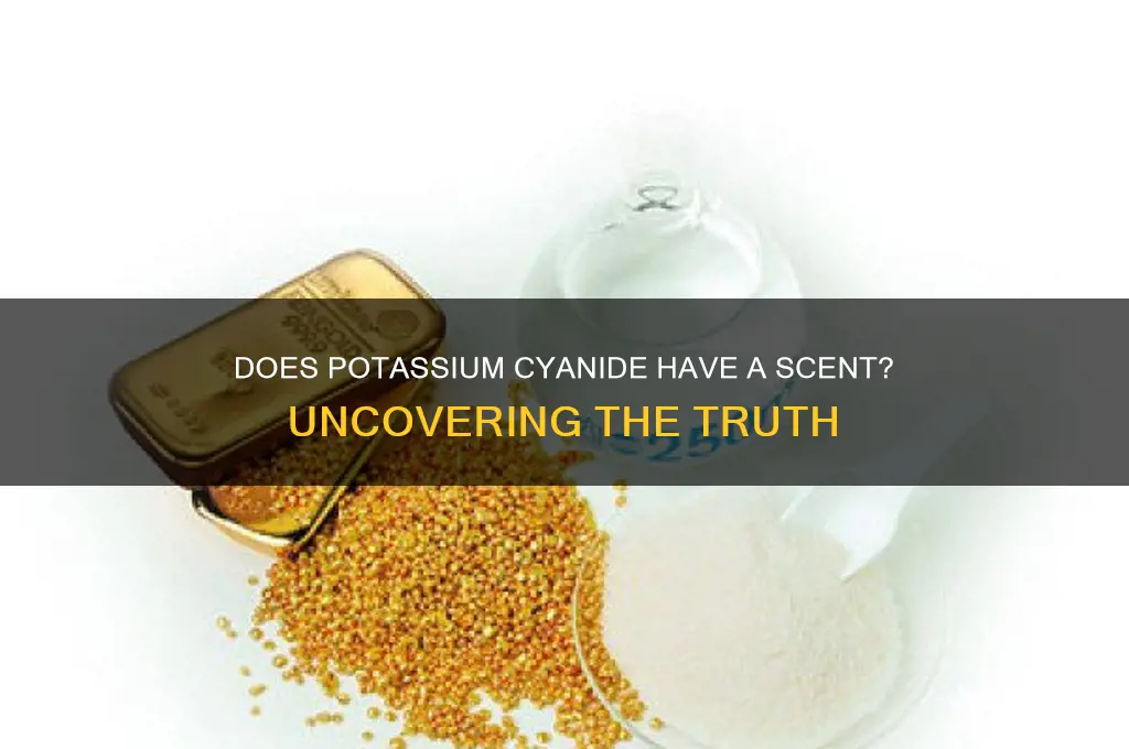 does potassium cyonide have a scent