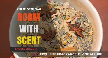 Can Potpourri Effectively Scent an Entire Room? Exploring Its Aromatic Reach