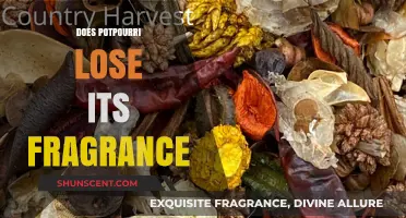 Potpourri's Fading Scent: Does It Ever Fully Disappear?