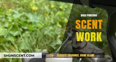 Does Procure Scent Work? Unveiling the Truth Behind the Fragrance